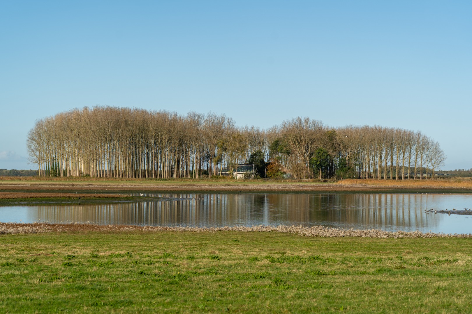 Landschap van natuurgebied Waterdunen bij Breskens